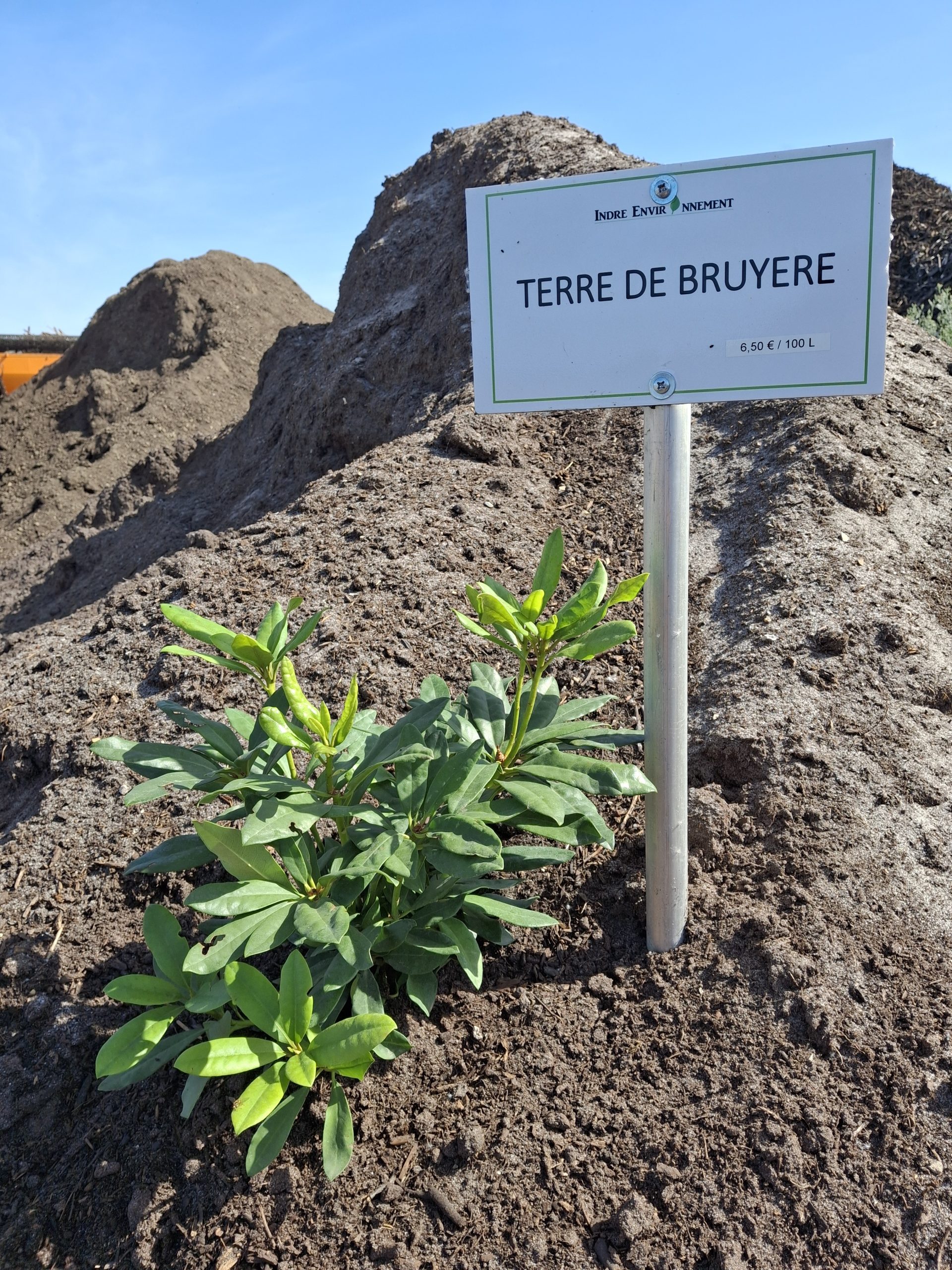 Terre de bruyère criblée